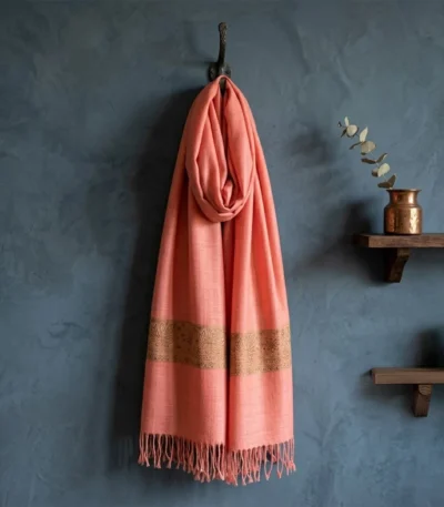 Pashmina shawl (1)